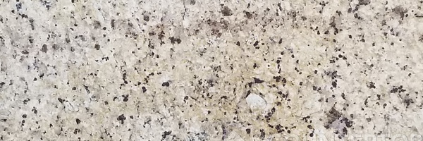 Image of Item