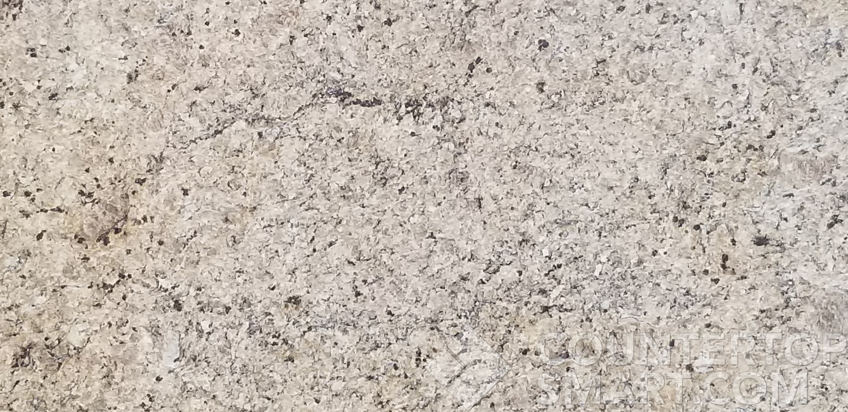 Image of Item