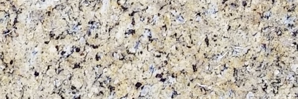 Image of Item