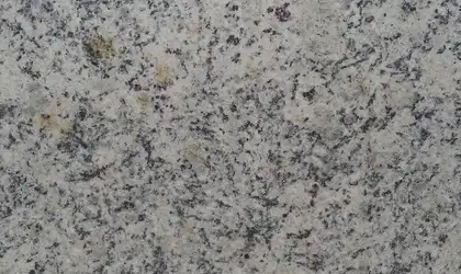 Image of Item