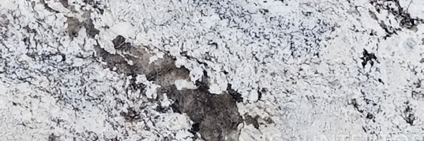 Image of Item