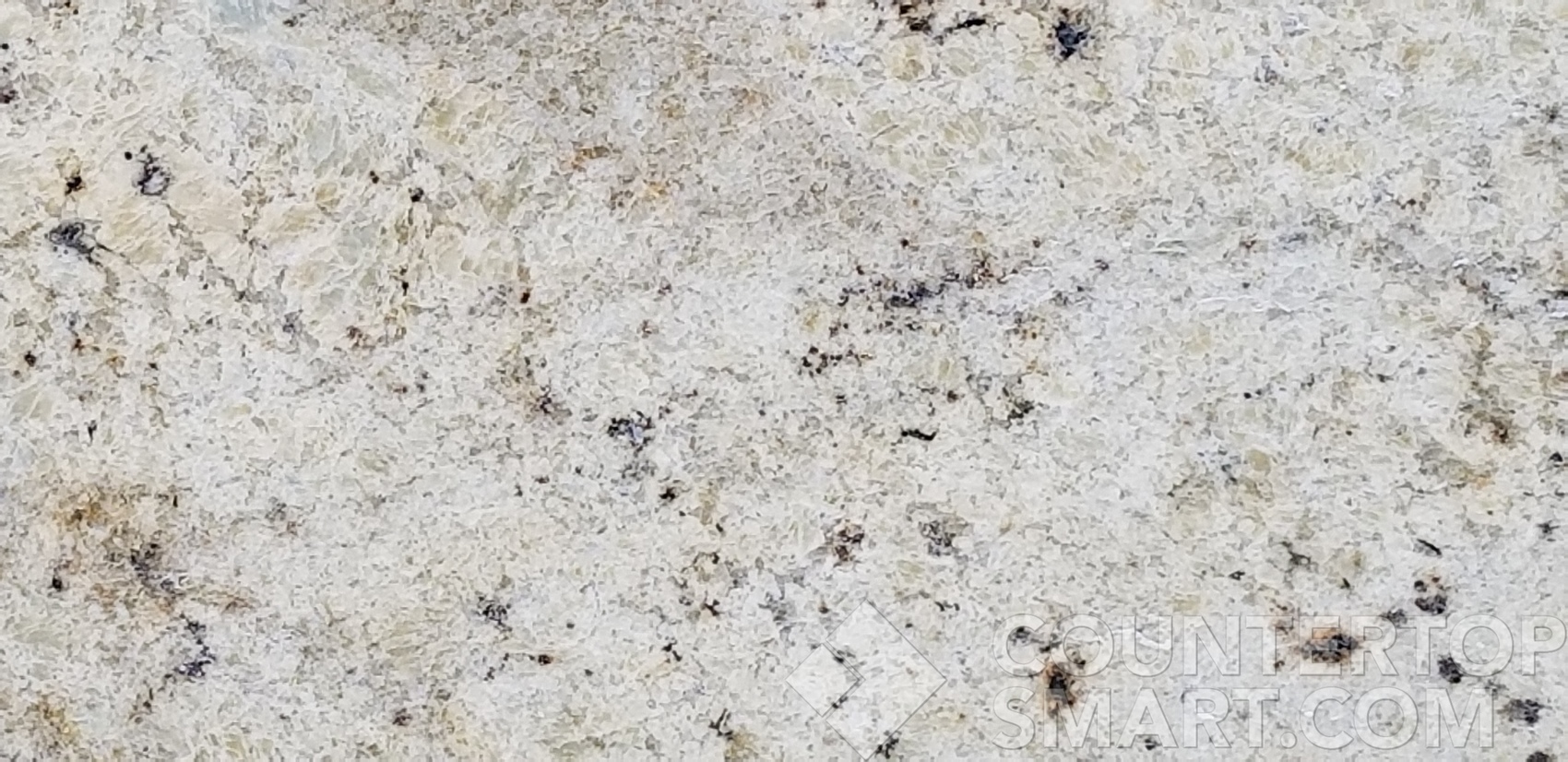 Image of Item
