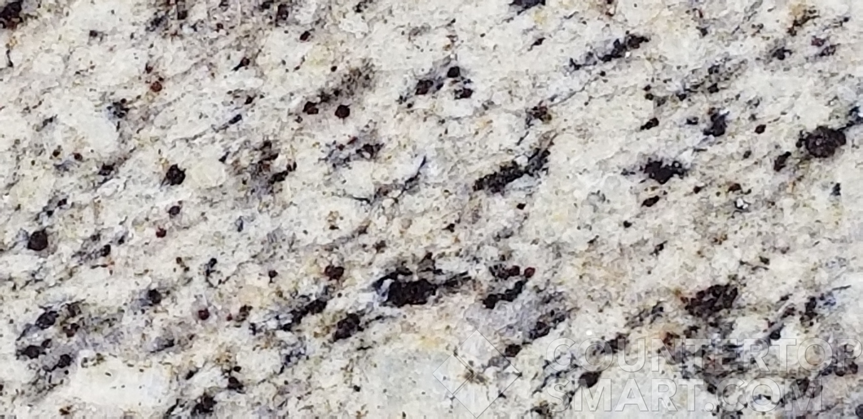 Image of Item