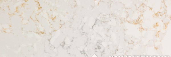 Image of Item