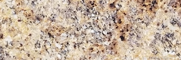 Image of Item