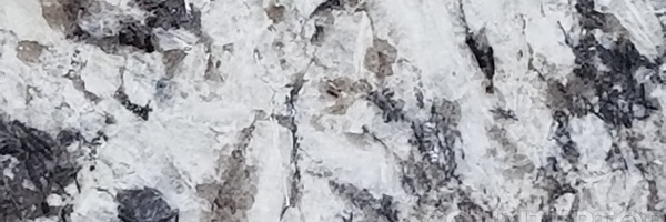 Image of Item