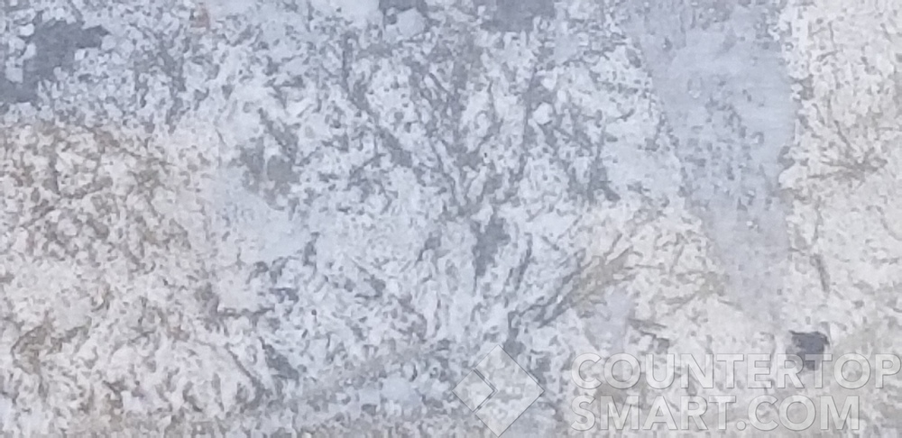 Image of Item