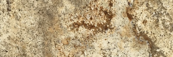 Image of Item