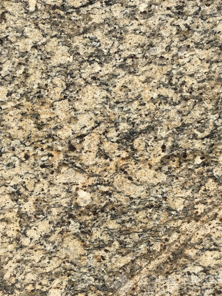 Image of Item