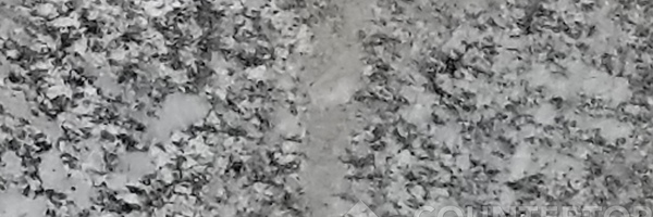 Image of Item