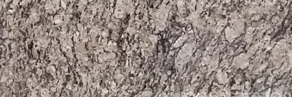 Image of Item