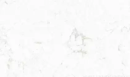 Image of Item