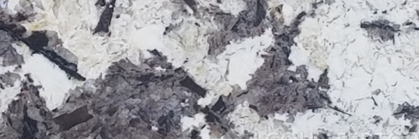 Image of Item