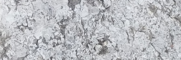 Image of Item