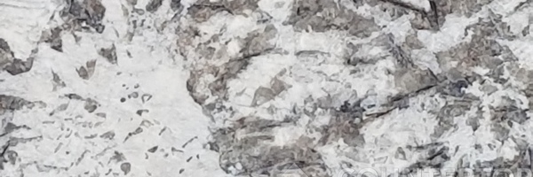 Image of Item