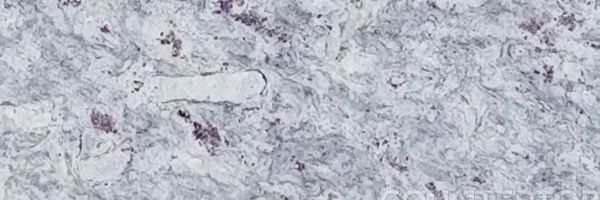 Image of Item