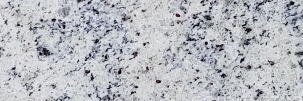 Image of Item