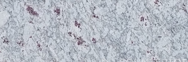 Image of Item