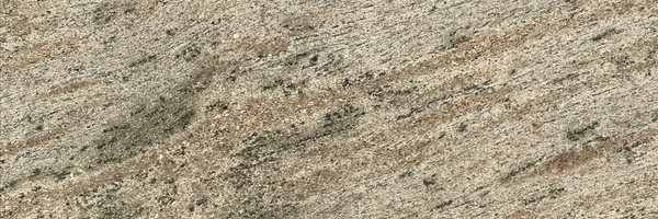 Image of Item