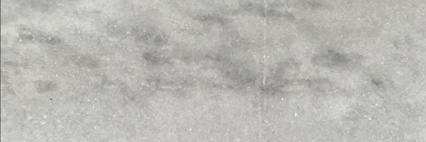 Image of Item