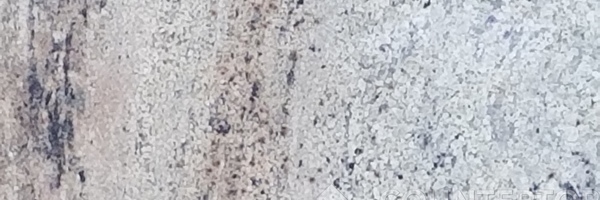 Image of Item