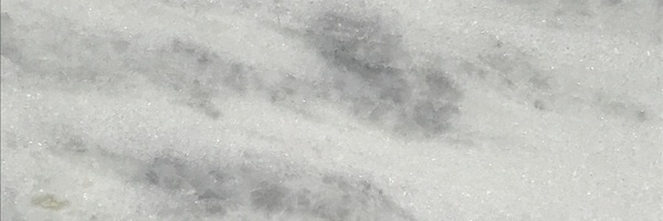 Image of Item