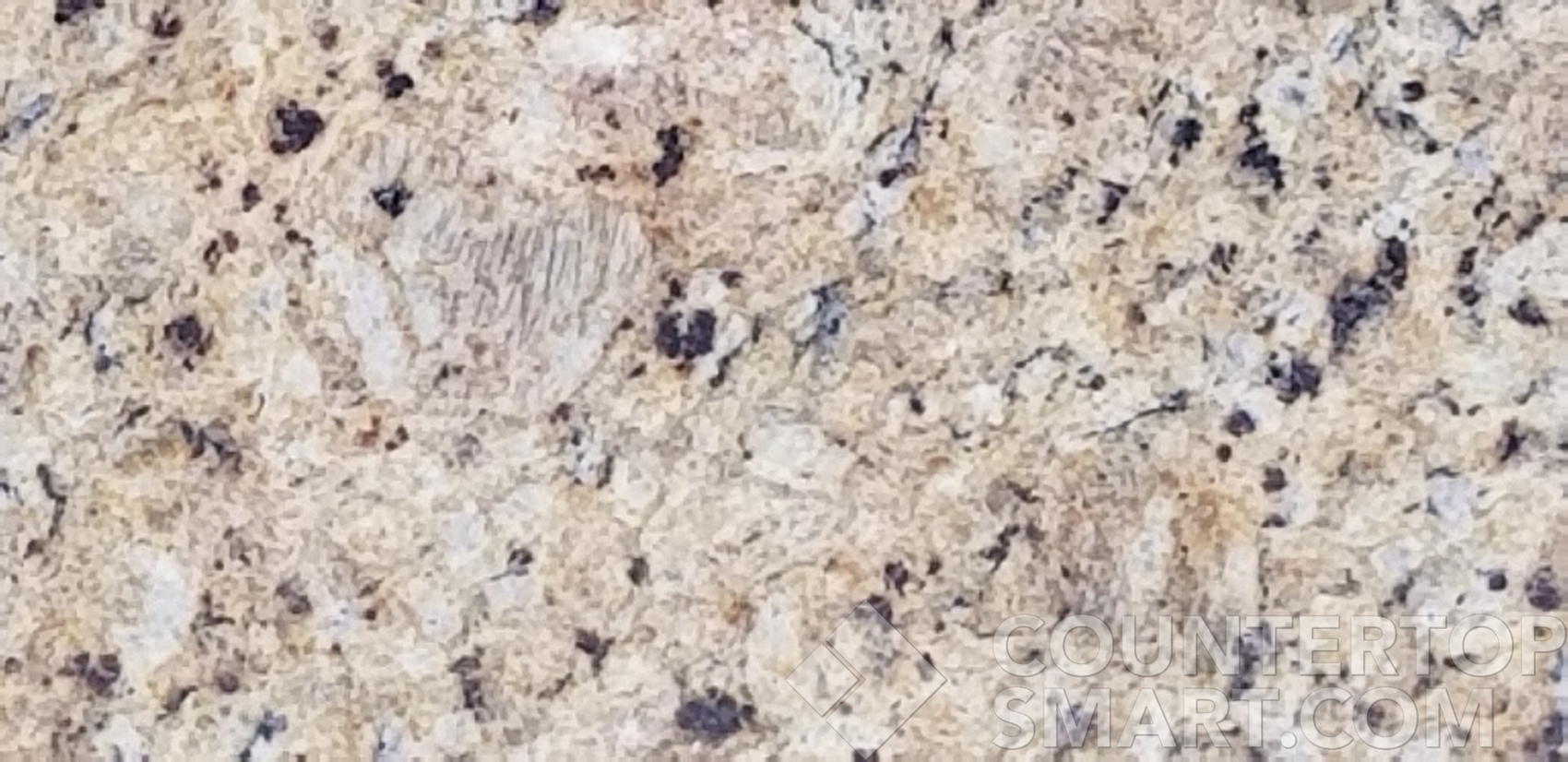 Image of Item