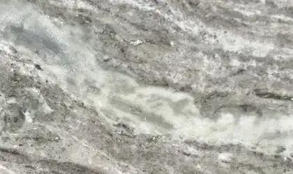 Image of Item