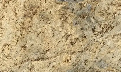Image of Item