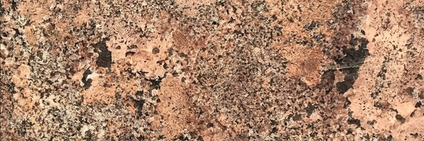 Image of Item