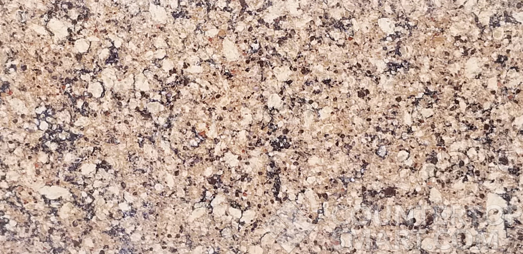 Image of Item