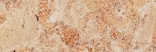 Image of Item