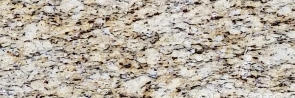 Image of Item