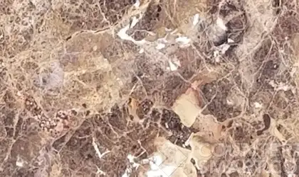 Image of Item