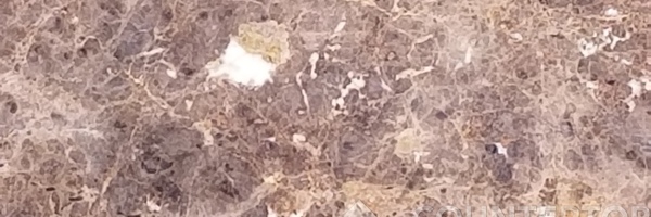 Image of Item