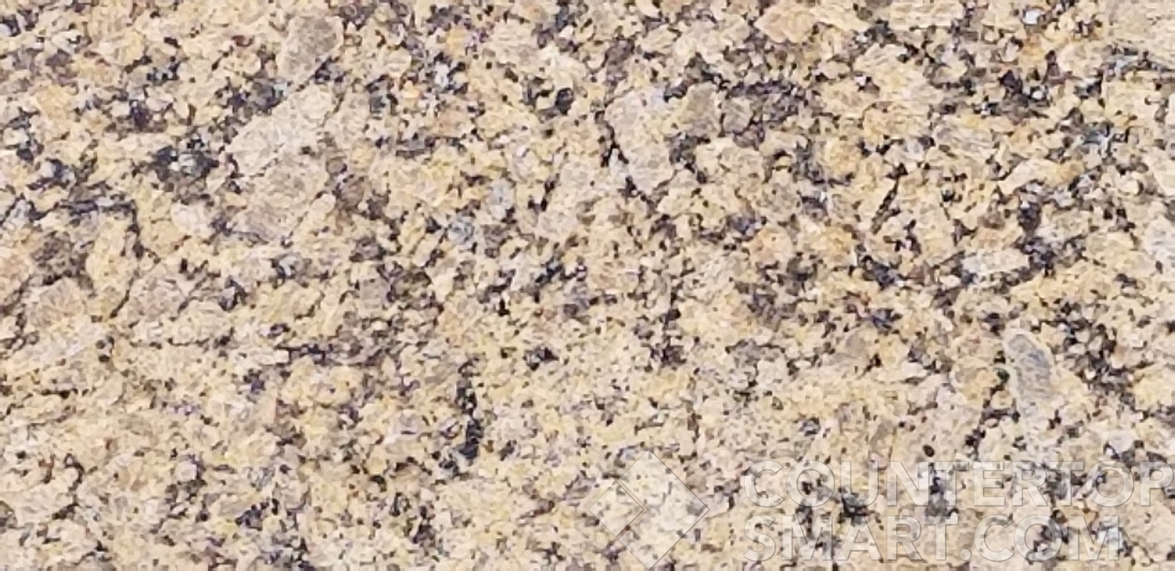 Image of Item