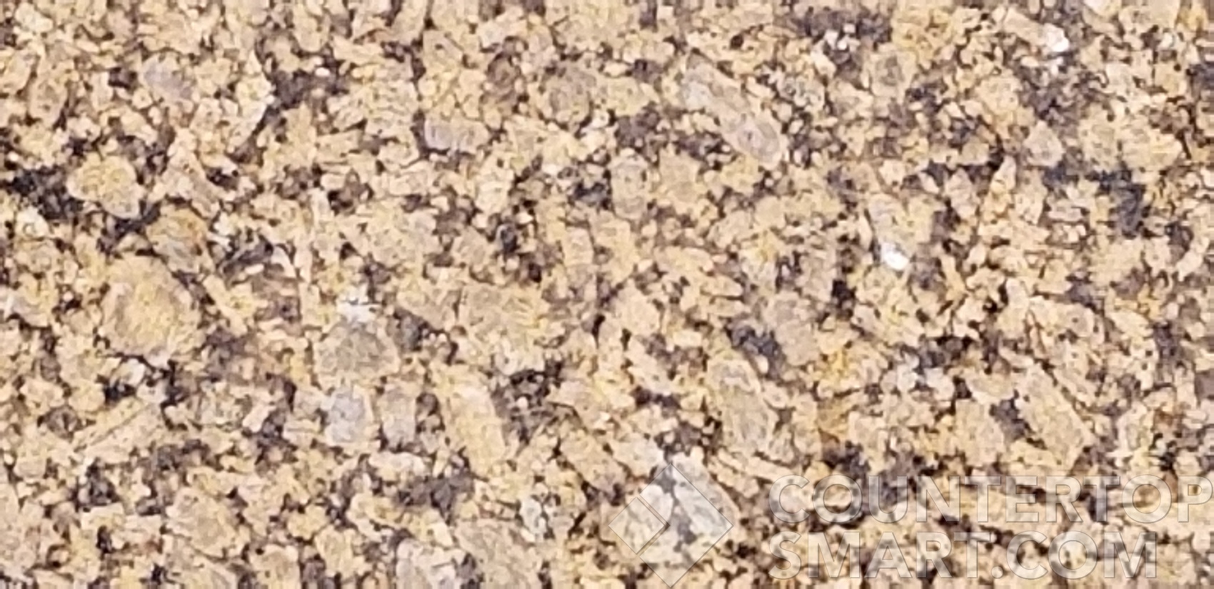 Image of Item