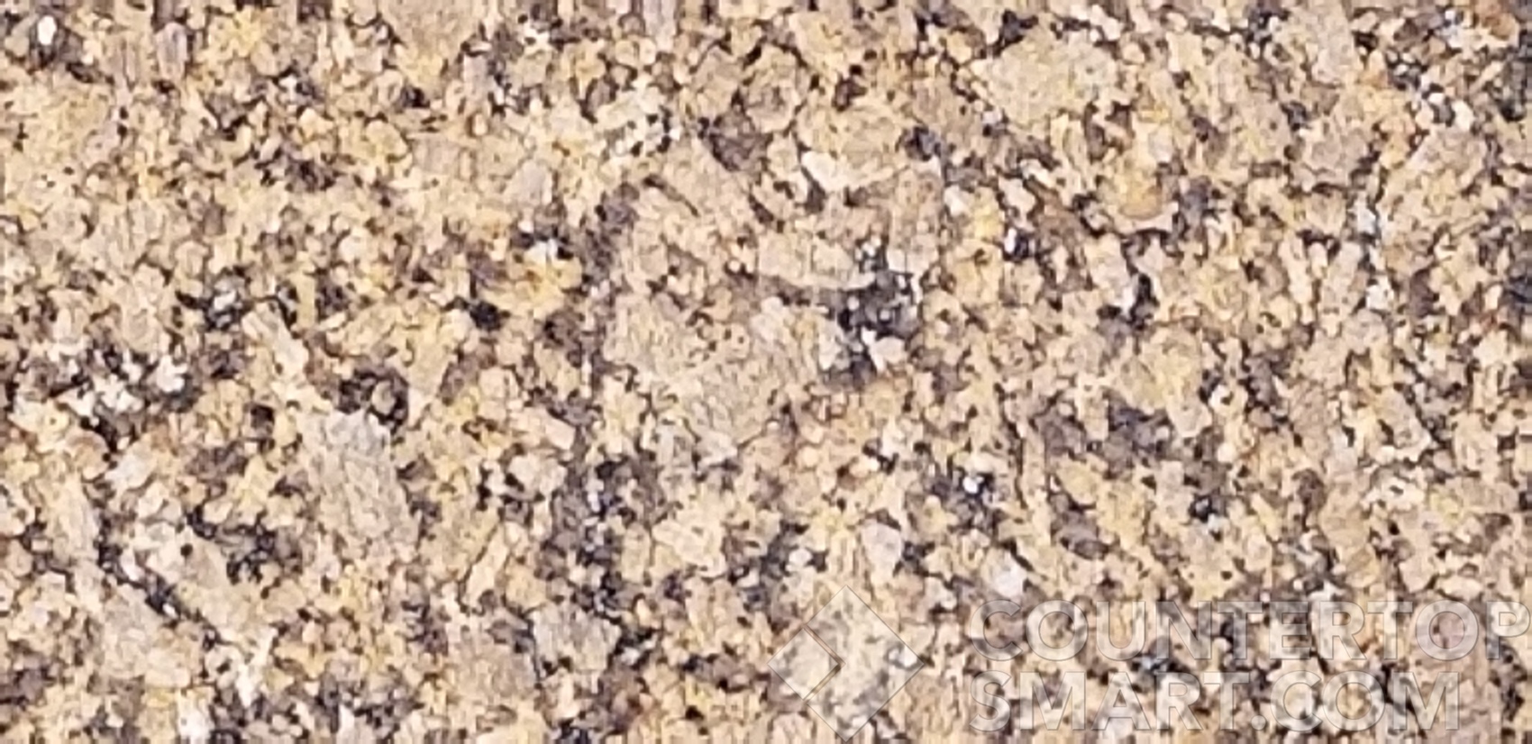 Image of Item