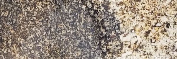 Image of Item
