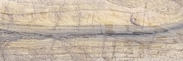 Image of Item