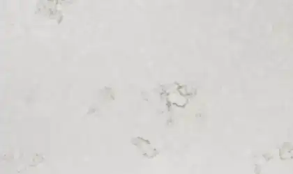 Image of Item