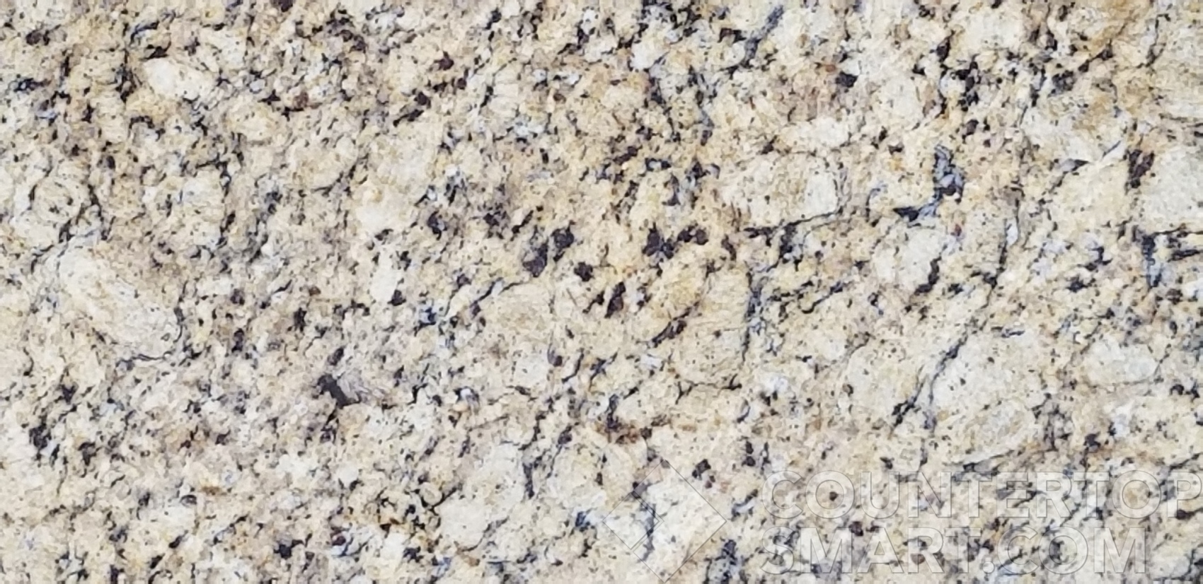 Image of Item