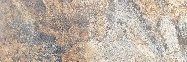Image of Item