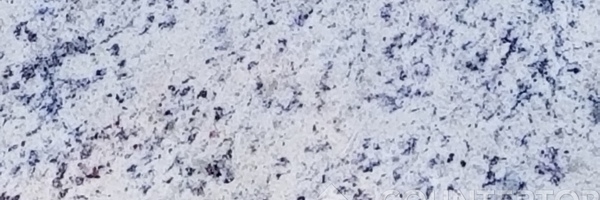 Image of Item