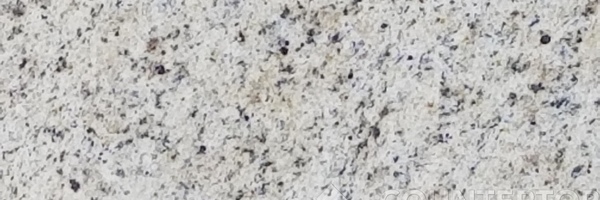 Image of Item