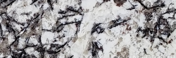Image of Item