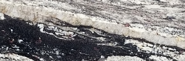 Image of Item
