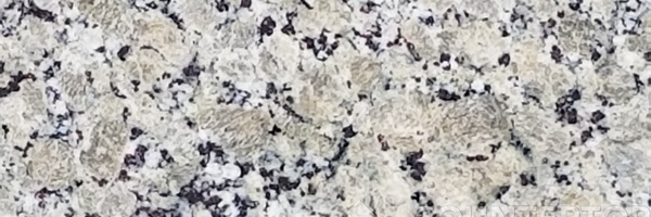Image of Item