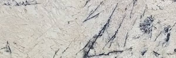 Image of Item