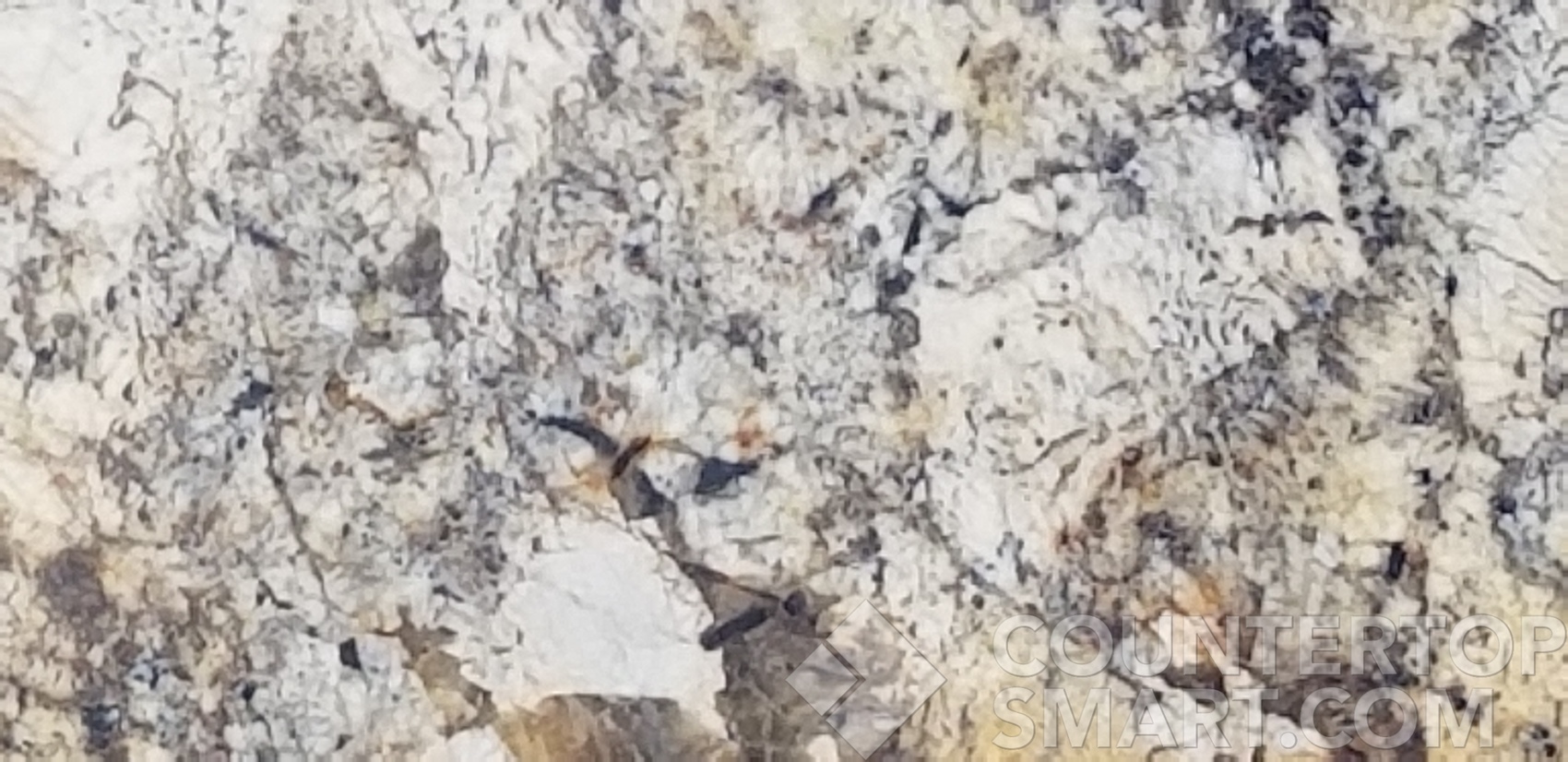 Image of Item